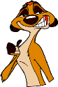 Timon