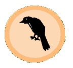 Crow