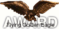 Flying Golden Eagle