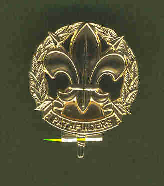 cisa_capbadge