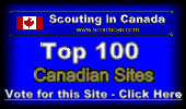 Scoutscan's Top 100